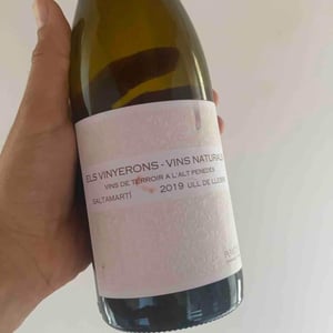 Els Vinyerons / Sin Project - Amós Bañeres Merinero & Alex Ruiz Masachs - Saltamartí (Ull de Llebre, Garnatxa)