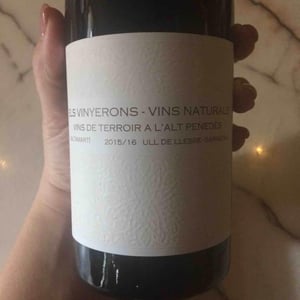Els Vinyerons / Sin Project - Amós Bañeres Merinero & Alex Ruiz Masachs - Saltamartí (Ull de Llebre, Garnatxa)