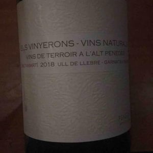 Saltamartí (Ull de Llebre, Garnatxa) - Els Vinyerons / Sin Project - amos-baneres-merinero-alex-ruiz-masachs