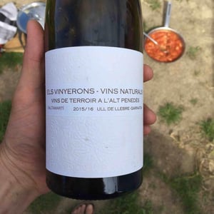 Els Vinyerons / Sin Project - Amós Bañeres Merinero & Alex Ruiz Masachs - Saltamartí (Ull de Llebre, Garnatxa)