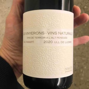 Saltamartí (Ull de Llebre, Garnatxa) - Els Vinyerons / Sin Project - Amós Bañeres Merinero & Alex Ruiz Masachs 