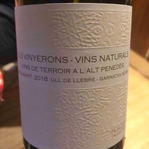 Els Vinyerons / Sin Project - Amós Bañeres Merinero & Alex Ruiz Masachs - Saltamartí (Ull de Llebre, Garnatxa)