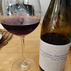 Els Vinyerons / Sin Project - Amós Bañeres Merinero & Alex Ruiz Masachs - Saltamartí (Ull de Llebre, Garnatxa)