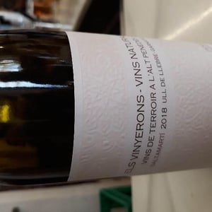 Saltamartí (Ull de Llebre, Garnatxa) - Els Vinyerons / Sin Project - Amós Bañeres Merinero & Alex Ruiz Masachs 