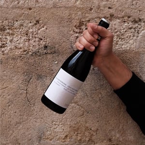 Saltamartí (Tempranillo) - Els Vinyerons / Sin Project - amos-baneres-merinero-alex-ruiz-masachs -2020