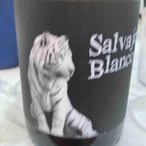 Salvaje Blanco - Barranco Oscuro - Manuel & Lorenzo Valenzuela 