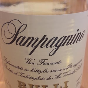 SAMPAGNINO - Azienda Vitivinicola Bulli - leonardo-bulli