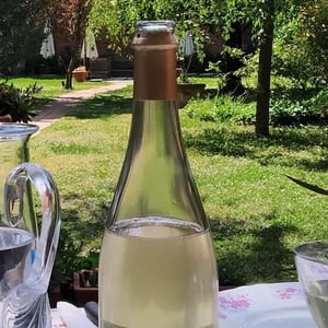 SAMPAGNINO - Azienda Vitivinicola Bulli - leonardo-bulli