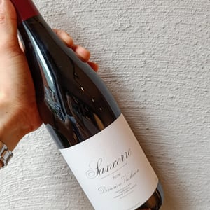 Sancerre rouge - Domaine Vacheron - Jean-Louis, Denis, Jean-Laurent & Jean-Dominique Vacheron 