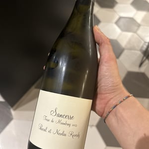 Sancerre Terre De Mambray - Pascal et Nicolas Reverdy - Pascal Reverdy 