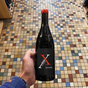 X - Domaine Fouassier - Benoit & Paul Fouassier 