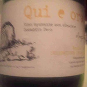 Sandrone - Angol d'Amig - Marco Lanzotti 