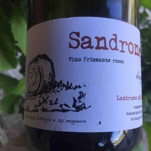 Sandrone - Angol d'Amig - marco-lanzotti