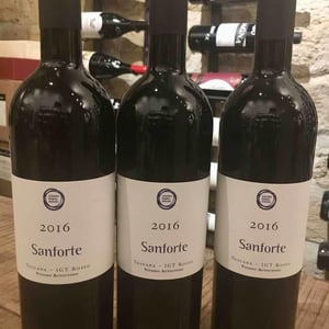 Sanforte - Cosimo Maria Masini - Tenuta di Poggio - francesco-de-filippis