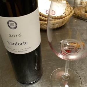 Sanforte