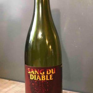 Sang Du Diable - No Control - Vincent Marie 