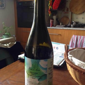 Sangiovese - Fattoria Mani di Luna - rocco-trauzzola-alessandro-de-filippis-simone-lazzarin