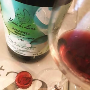 Sangiovese - Fattoria Mani di Luna - rocco-trauzzola-alessandro-de-filippis-simone-lazzarin