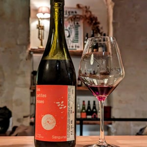 Sanguine - Les Petites Mises - nathalie-guillevic-etienne-granier -2021