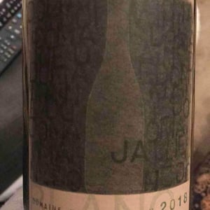 Sans Bois Ni Loi blanc - Domaine Julien Auroux - Julien Auroux 