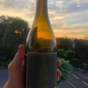 Sans Bois Ni Loi blanc 2019 - Domaine Julien Auroux - Julien Auroux