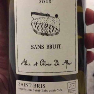 Sans Bruit - Alice & Olivier De Moor - Alice & Olivier De Moor 