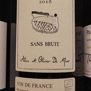 Sans Bruit - Alice & Olivier De Moor - Alice & Olivier De Moor 