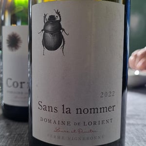 Sans la nommer - Domaine De Lorient - laure-colombo-dimitri-roulleau-gallais -2022