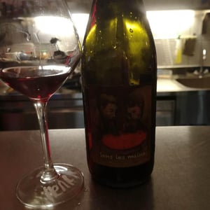 Sans Les Mains - Domaine Frédéric Mabileau - Rémy Mabileau 