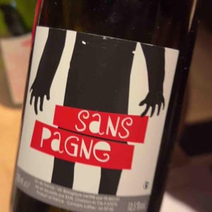 Sans Pagne - Ludovic Chanson - Ludovic Chanson 