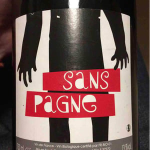 Sans Pagne - Ludovic Chanson - ludovic-chanson