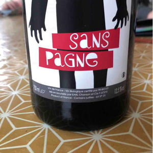 Sans Pagne - Ludovic Chanson - ludovic-chanson