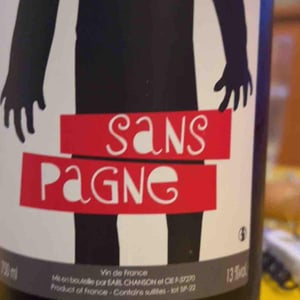 Sans Pagne - Ludovic Chanson - Ludovic Chanson 