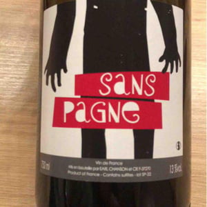 Sans Pagne - Ludovic Chanson - Ludovic Chanson 