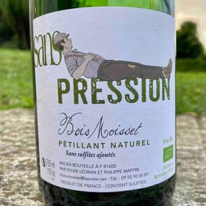 Sans pression (sans sulfites ajoutés) - Domaine Ferme Bois Moisset - Sylvie & Philippe Maffre -2021