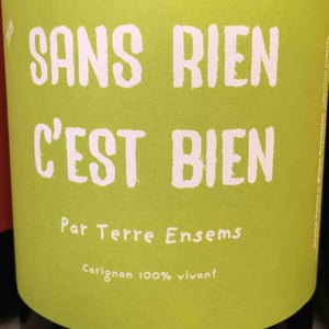 Sans Rien C’est Bien - Terre Ensems - krystel-costes-michel-bouisseren