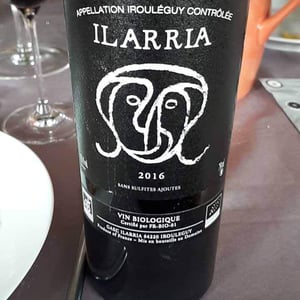 "Sans Soufre" Rouge - Domaine Ilarria - peio-espil