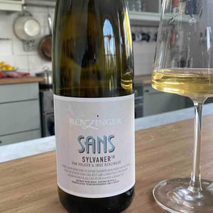Sans - Weingut Benzinger - volker-inge-benzinger -2018