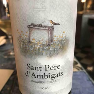 Sant Pere d'Ambigats - Carlania Celler - Jordi Miró 