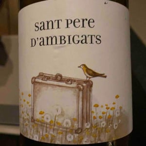 Sant Pere d'Ambigats 2019