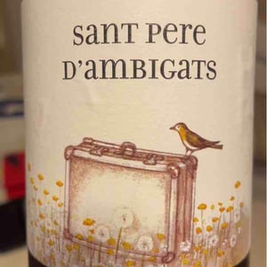 Sant Pere d'Ambigats - Carlania Celler - jordi-miro