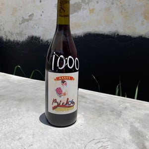 Santa - Bichi Wines - noel-tellez