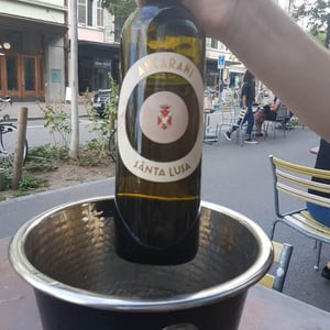 Santa Lusa (old label) - Ancarani - rita-babini-claudio-ancarani