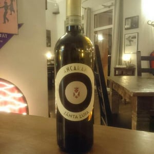 Santa Lusa (new label) - Ancarani - rita-babini-claudio-ancarani