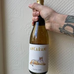 Santa Lusa (new label) - Ancarani - rita-babini-claudio-ancarani