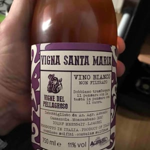 Vigna Santa Maria - Vigne Del Pellagroso - antonio-camazzola -2020