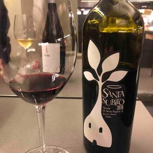 SANTA SUBITO - Santa 10 - Gianni Massone 