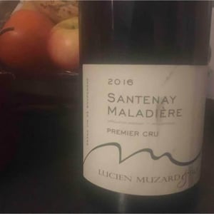 Santenay 1er Cru Maladière - Lucien Muzard Et Fils - lucien-muzard