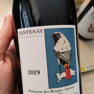 Santenay - Domaine des Rouges-Queues - isabelle-jean-yves-vantey