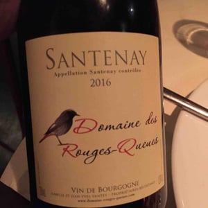Santenay - Domaine des Rouges-Queues - isabelle-jean-yves-vantey